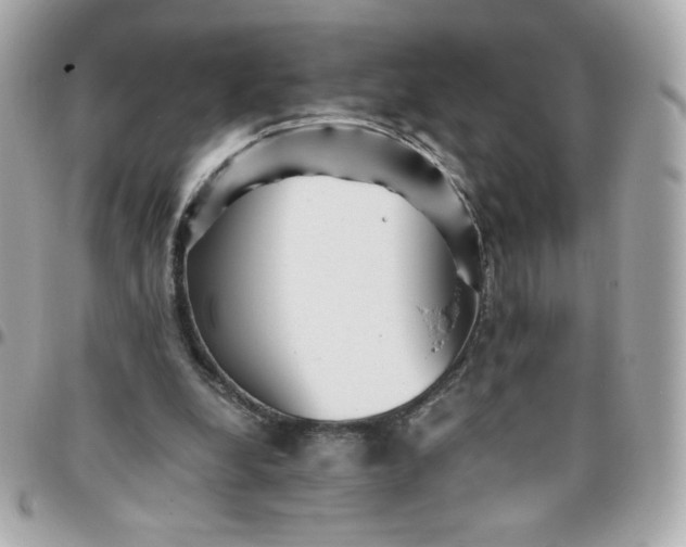 X0000096220248200802011349