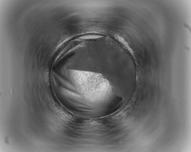 X0000096220249200802011349