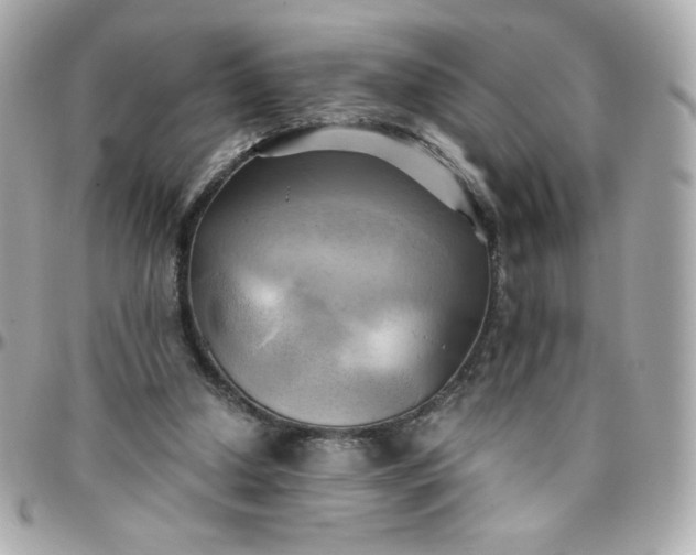 X0000096220250200802011349