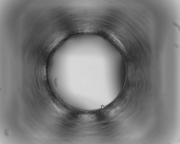 X0000096220251200802011349