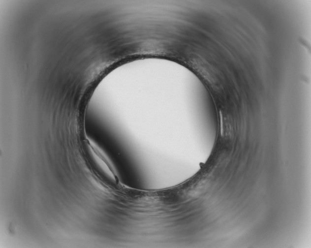 X0000096220252200802011349