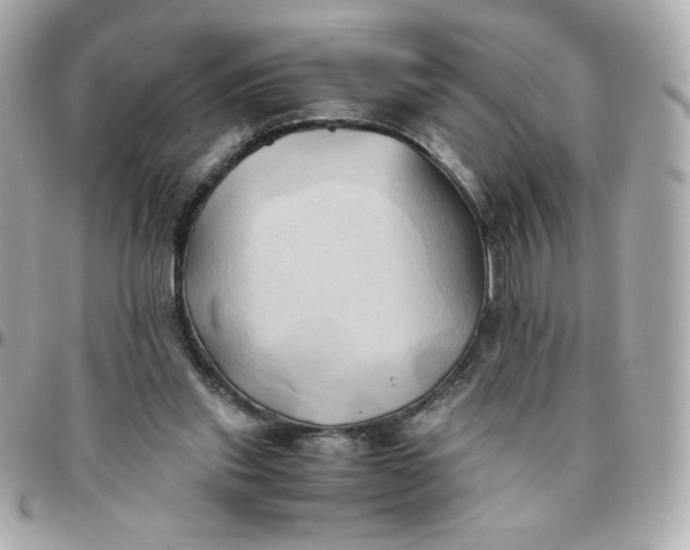 X0000096220253200802011349