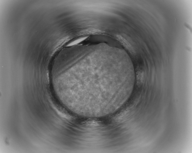 X0000096220254200802011349