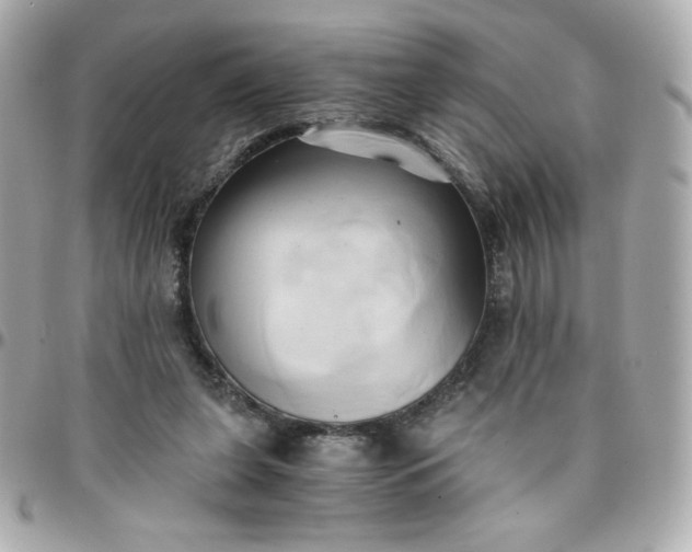 X0000096220255200802011349