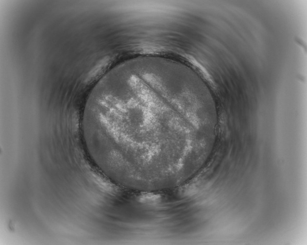 X0000096220257200802011349