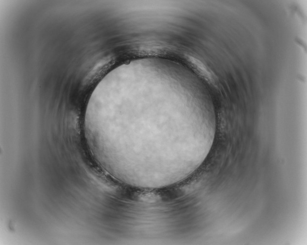 X0000096220258200802011349