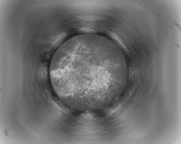 X0000096220259200802011349