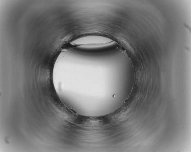 X0000096220260200802011349