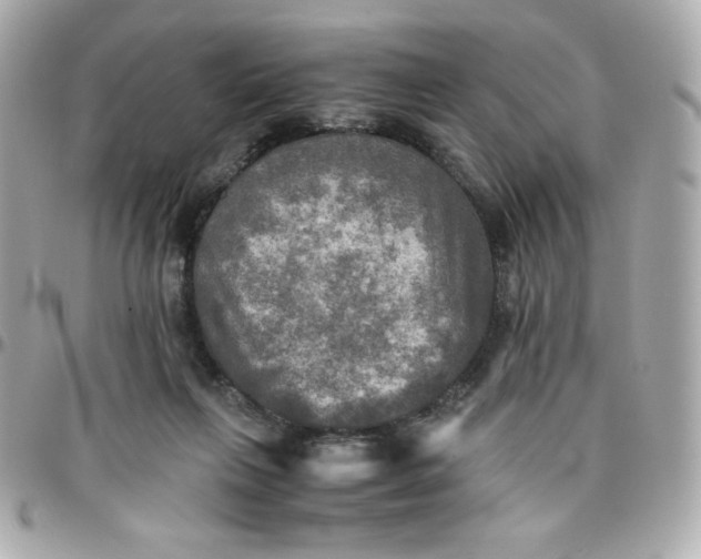 X0000096220263200802011349