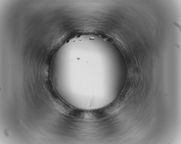 X0000096220264200802011349