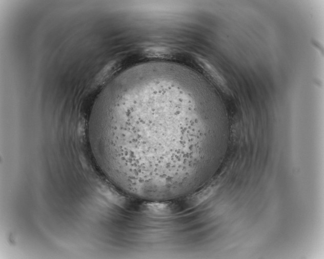 X0000096220265200802011349