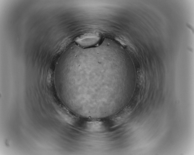 X0000096220266200802011349