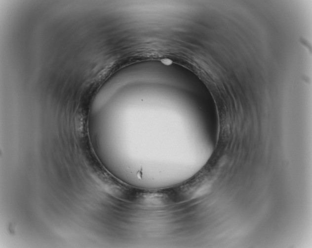 X0000096220268200802011349