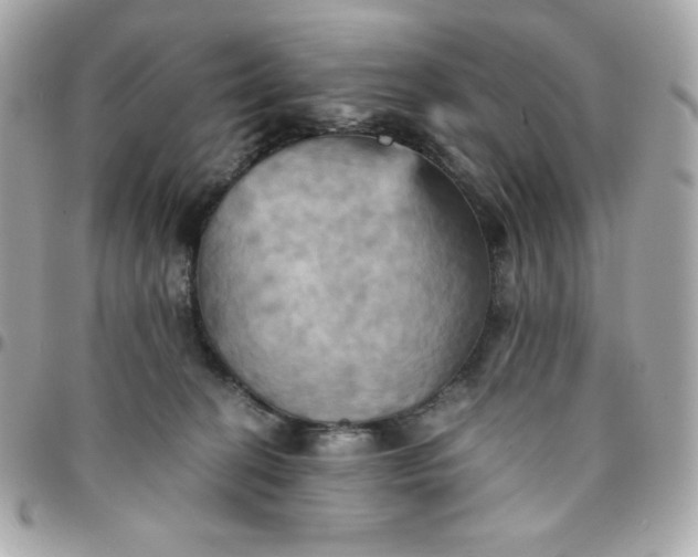 X0000096220274200802011349