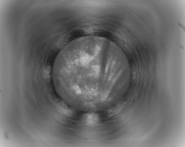 X0000096220275200802011349