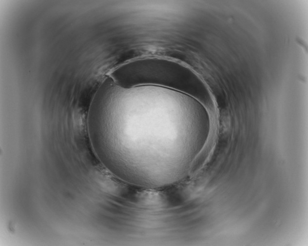 X0000096220276200802011349