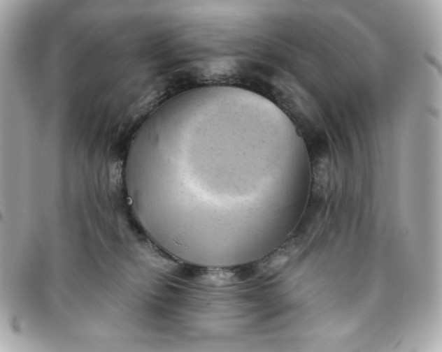 X0000096220278200802011350