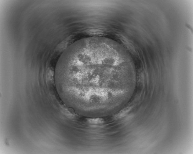 X0000096220281200802011350