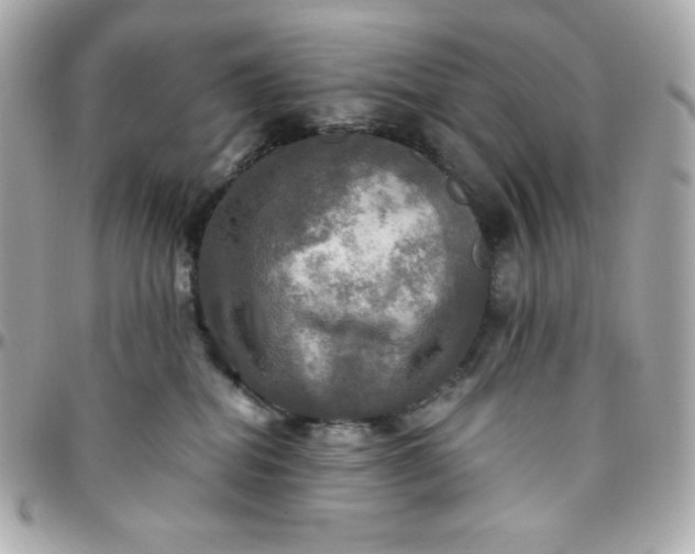 X0000096220282200802011350