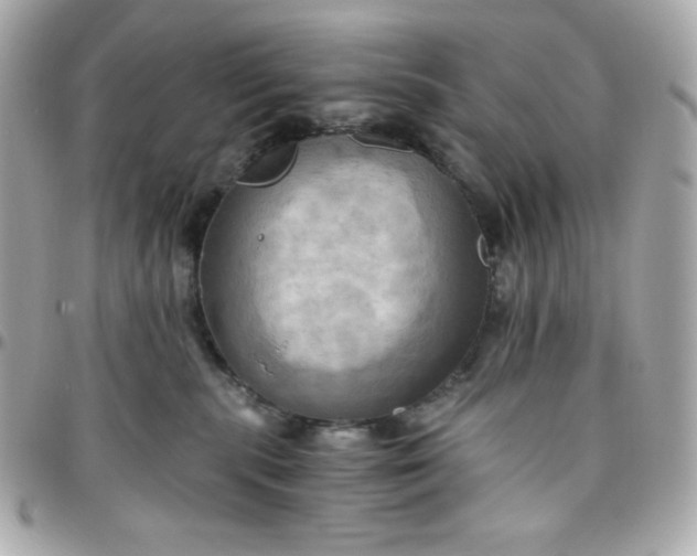 X0000096220283200802011350