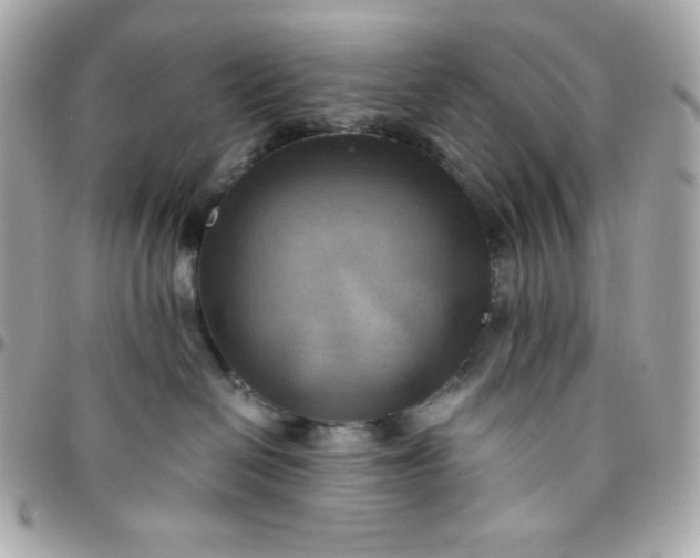 X0000096220286200802011350