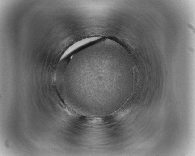 X0000096220288200802011350