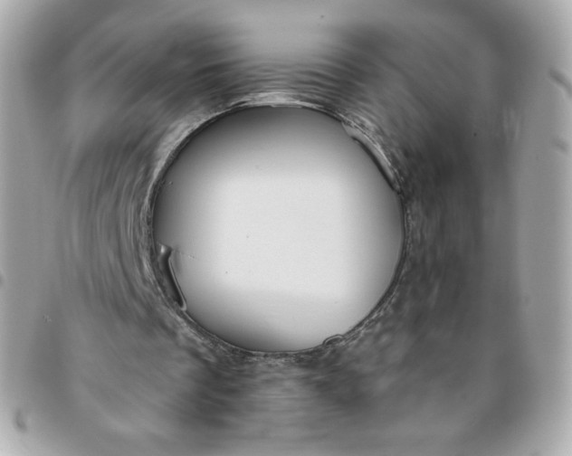 X0000096220289200802011349