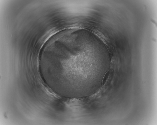 X0000096220290200802011349