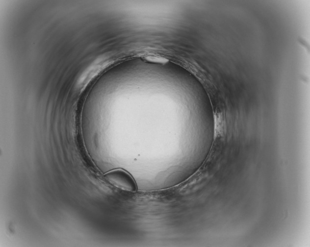 X0000096220291200802011349