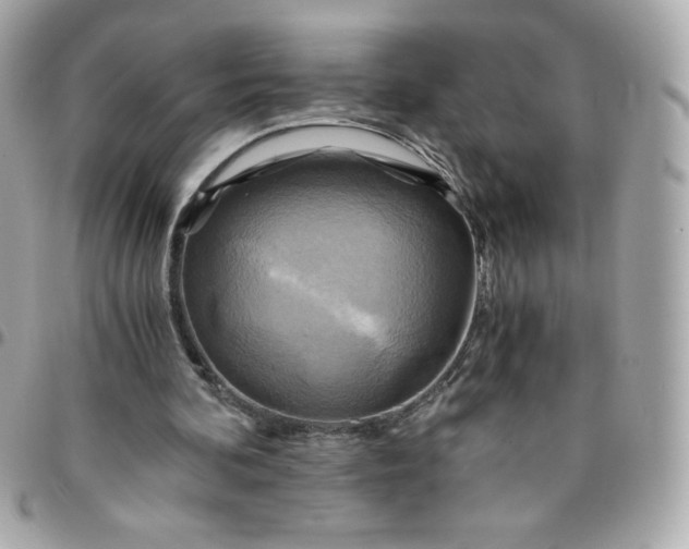 X0000096220292200802011349