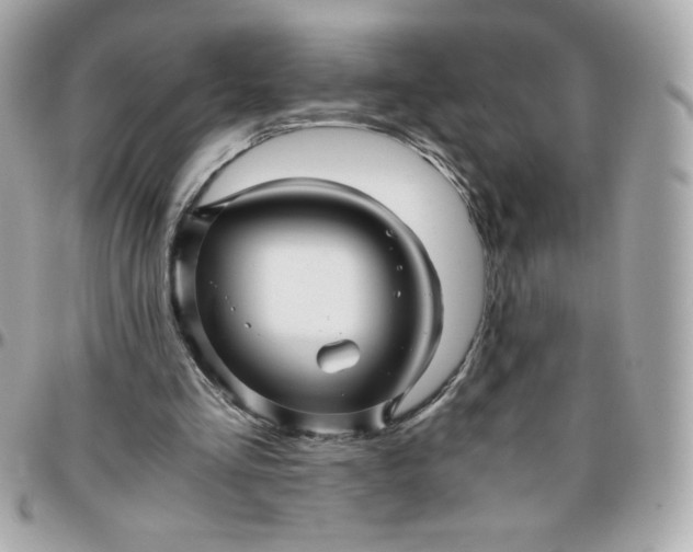 X0000096220293200802011349