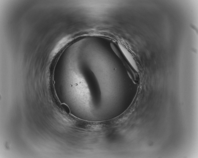 X0000096220295200802011349