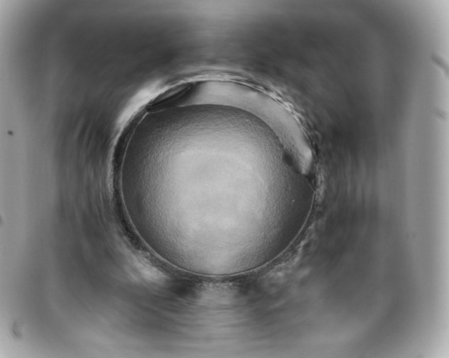 X0000096220296200802011349