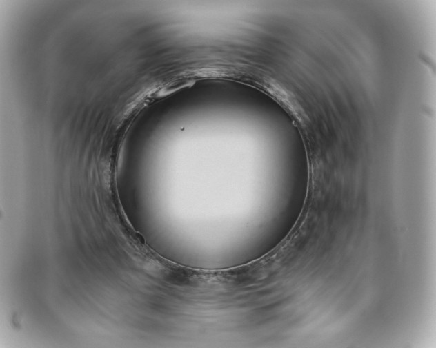 X0000096220297200802011349