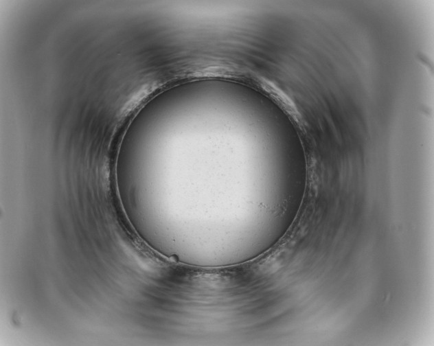 X0000096220298200802011349