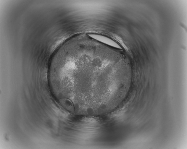 X0000096220299200802011349