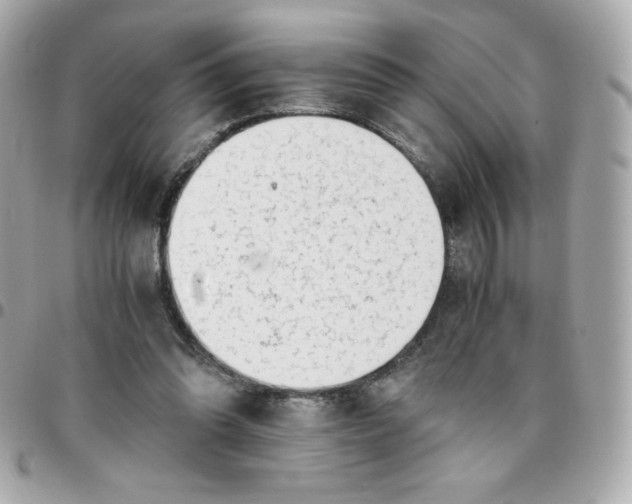 X0000096220302200802011349