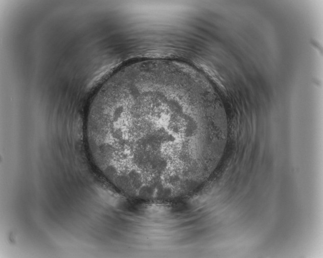 X0000096220303200802011349