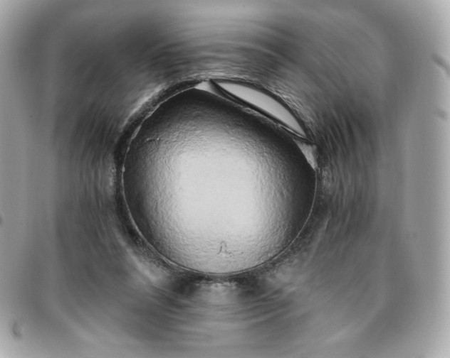 X0000096220304200802011349