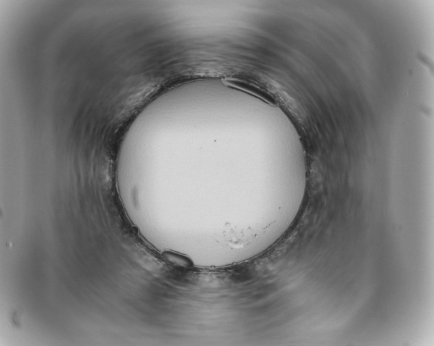 X0000096220305200802011349