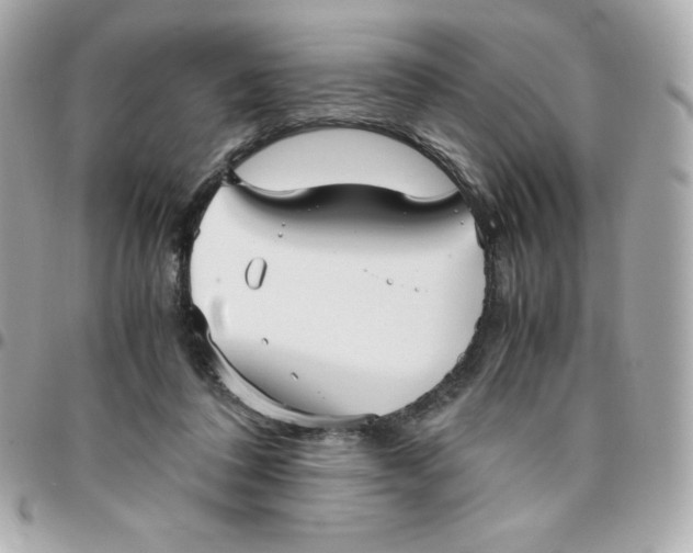 X0000096220308200802011349