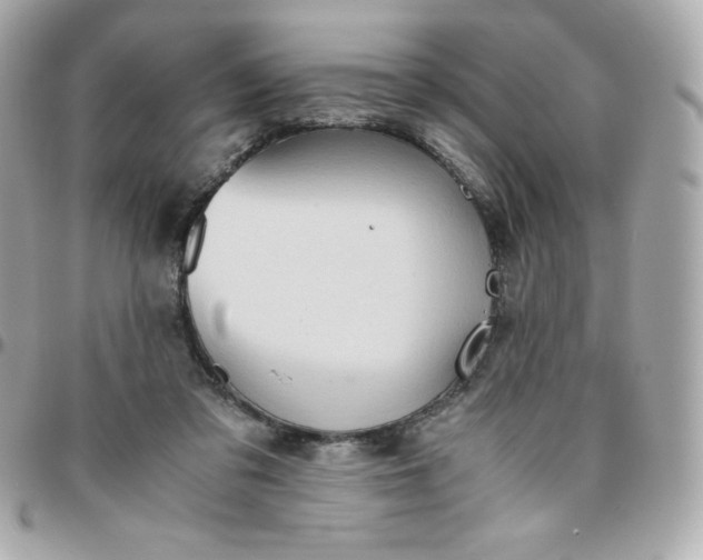 X0000096220309200802011349