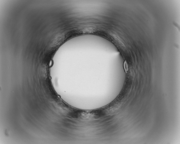 X0000096220311200802011349