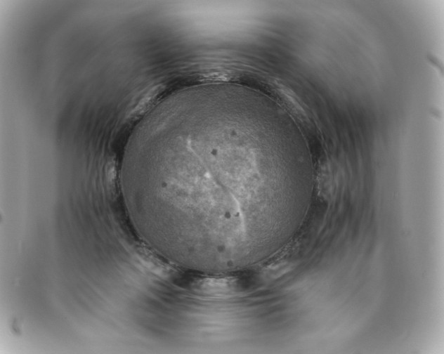 X0000096220314200802011349