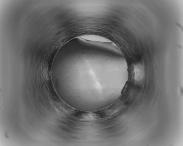 X0000096220316200802011349