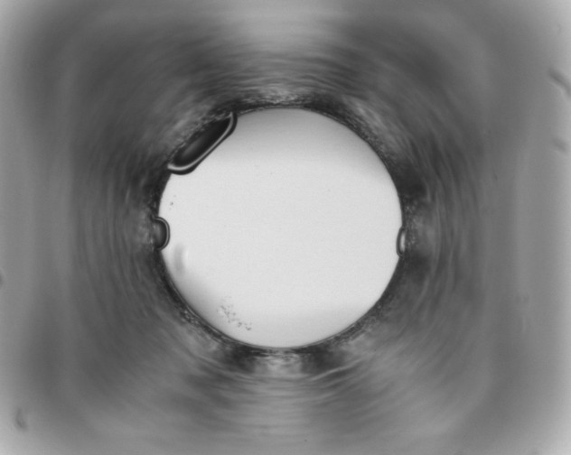 X0000096220317200802011349