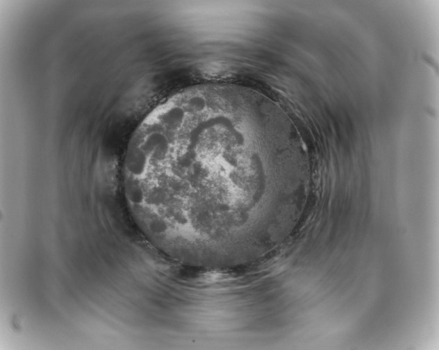 X0000096220319200802011349