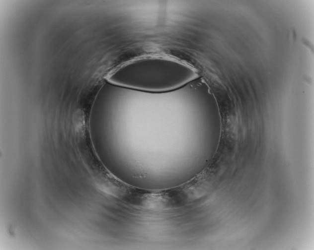 X0000096220320200802011349