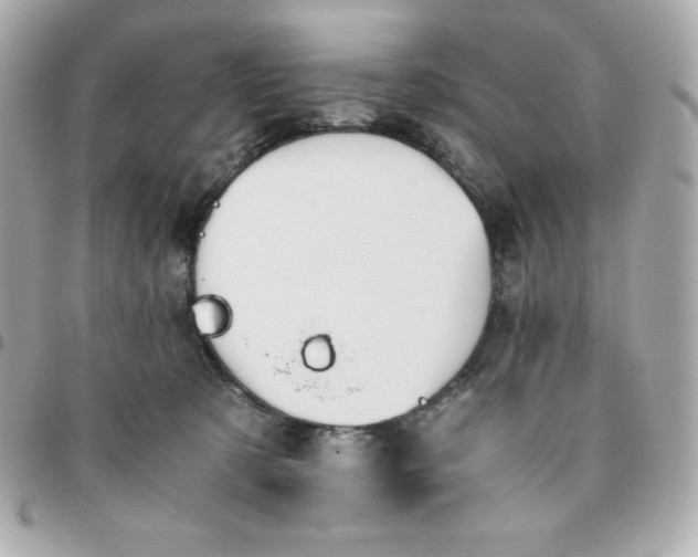 X0000096220321200802011349