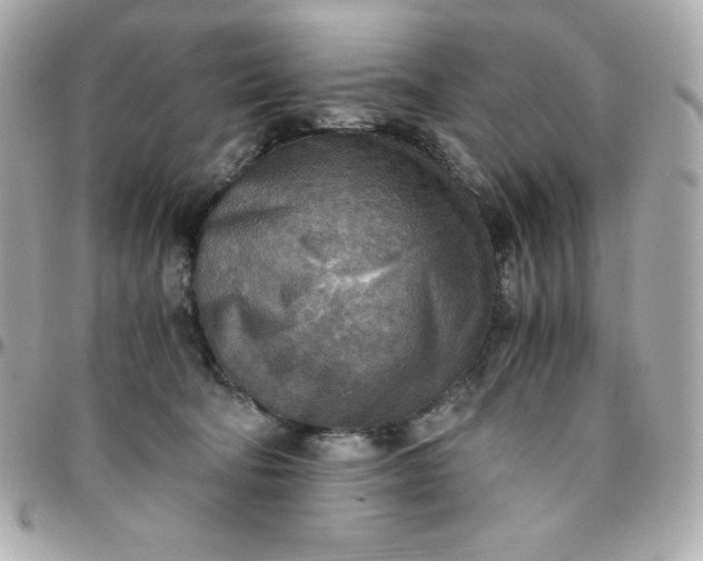 X0000096220322200802011349